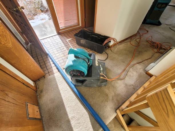 Local water damage restoration in IN