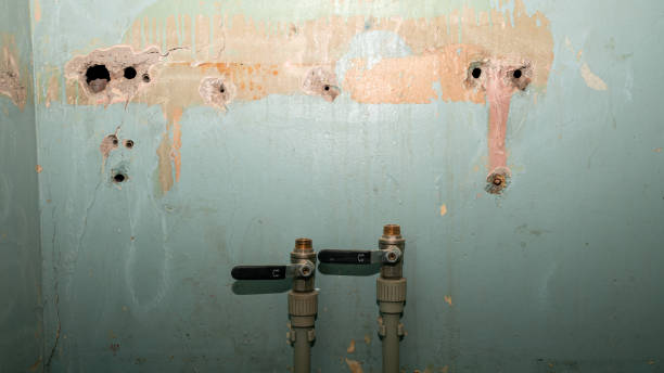Best Emergency water damage restoration  in Westport, IN