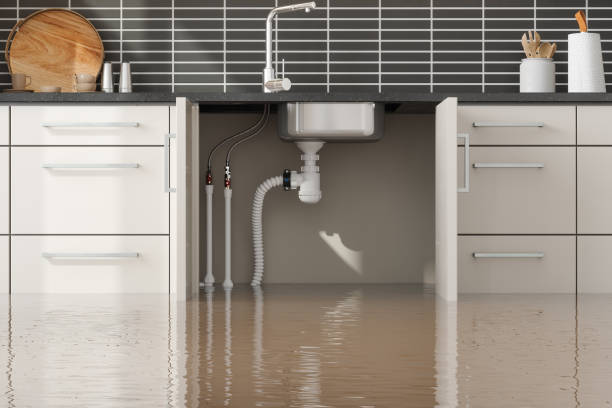 Best Basement water damage restoration  in Westport, IN